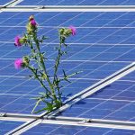 Wärmepumpen für die Warmwasserbereitung